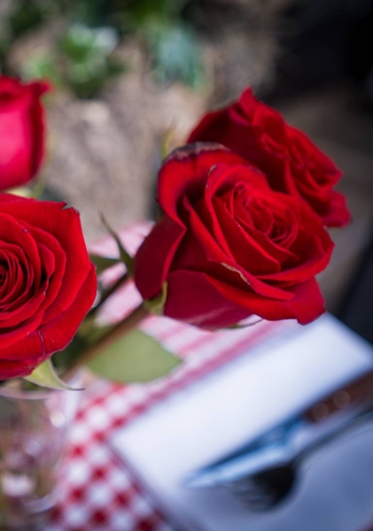 La Trattoria Monticelli - Restaurant Marseille - restaurant Marseille