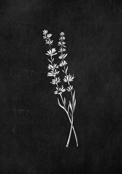 Le restaurant - La Trattoria Monticelli - Marseille - les meilleurs restaurant de Marseille