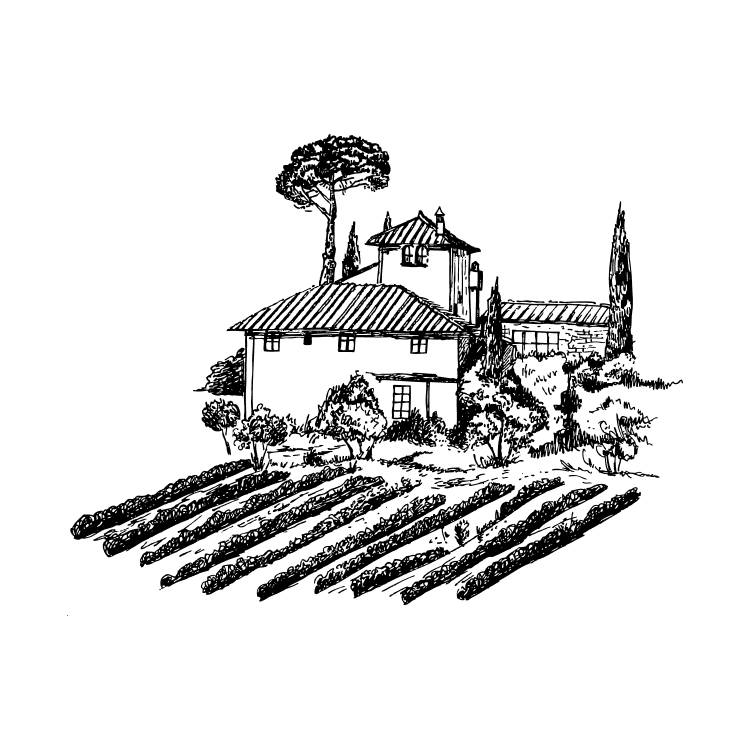 Le restaurant - La Trattoria Monticelli - Marseille - restaurant marseille 13008